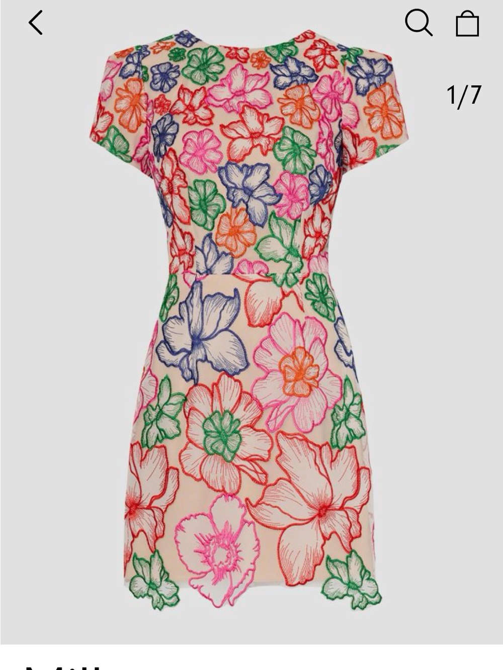 Milly Embroidered Floral Mini Dress in Multi Colors